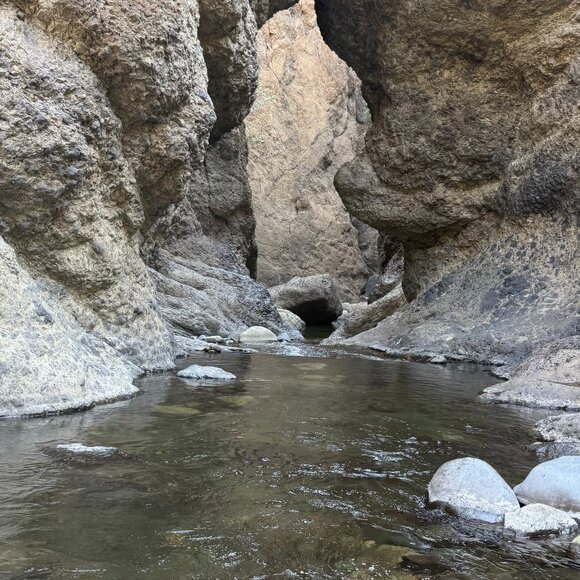 Meet your Posher, Julia - Picture 1 of 1